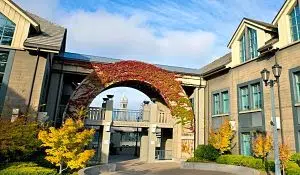 Berkeley Haas MBA